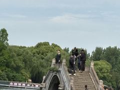 -鲁镇