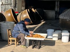 -苏州市吴中区光福窑上花果蜜饯厂