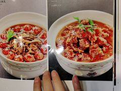 -紫光园·烤鸭(吕家营店)