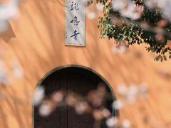 -鸡鸣赐茶(鸡鸣寺路店)