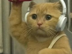 -曹家小菜(胜太路店)