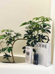 -JustHer宁波珈禾医疗美容医院