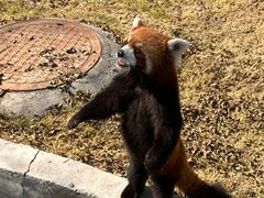 -水上乐园·欢乐世界