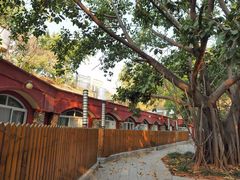 -元谋土林景区(物茂土林)