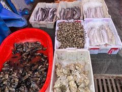 -芦潮港集贸市场