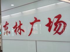 -东林广场(地铁站)