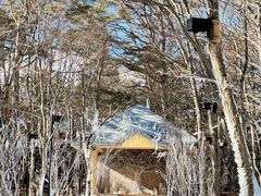 -轻井泽高原教堂