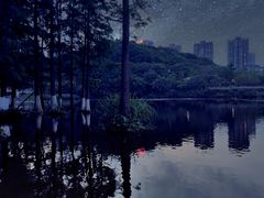 -重庆彩云湖湿地公园