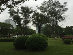 -上海第二工业大学(金海路校区)