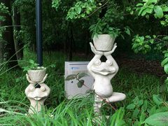 -上海共青森林公园