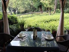 -野蔓果·山野菜(西湖景区·龙井茶田店)