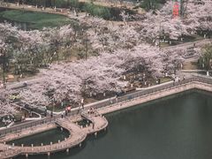 -西北湖绿化广场