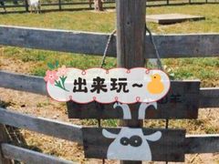 -前小桔亲子创意农场·草莓采摘·露营烧烤