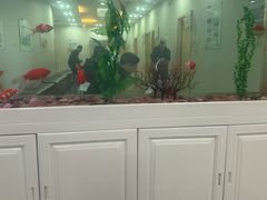 -慈铭体检(洋桥分院)