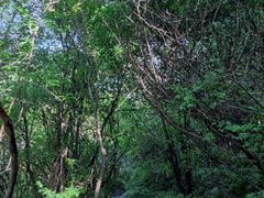-秦岭风景区