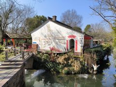 -西溪国家湿地公园