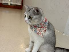 -共舞时光猫咖·狗咖(新街口店)