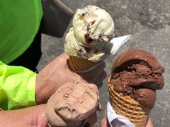 -Dooley's Premium Ice Cream