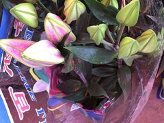 -东方鼎信农副产品交易中心