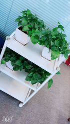 -NEW LOOK-绿麓 · 美甲美睫脱毛工作室