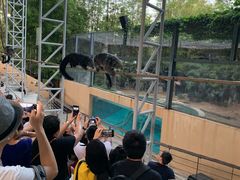 -清迈夜间动物园