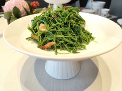 -蘇锦宴·淮扬菜烤鸭·小院(三元桥霄云路店)