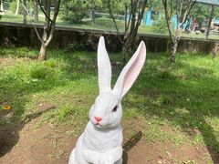 -秦皇岛野生动物园