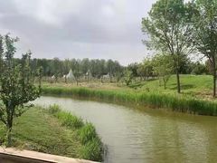 -安德鲁户外烧烤帐篷营地(马泉营店)