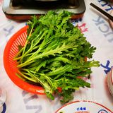 环境还不及茶餐厅