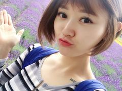 -富田农场