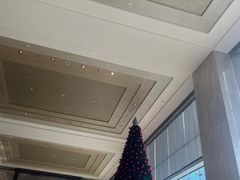 -丽晶轩中餐厅(重庆丽晶酒店)