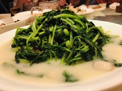 浓鸡汤浸春菜苗-利苑酒家(合景国际金融广场店)