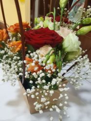 -千禧果月子会所(郑州东站店)