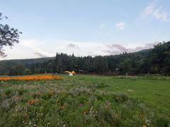 -武陵山森林公园