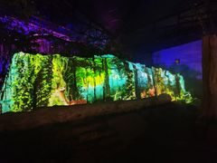 -海上花岛玫瑰园采摘