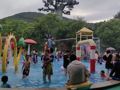 -苏州乐园森林水世界