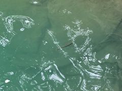 -百年石锅饭·朝鲜族传统民餐