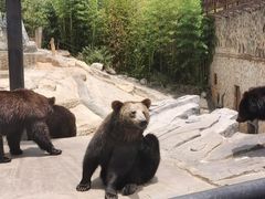 -云南野生动物园