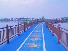 -鹅湖玫瑰文化园