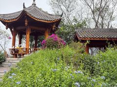 -攀枝花公园