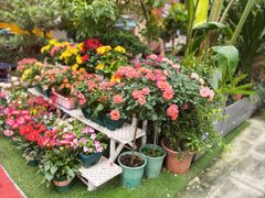 -山水茶艺馆·点心粤菜·30年老字号