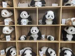 -大营西亚皮草新城