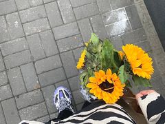 -盒马X会员店(上海森兰商都店)