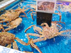 -盒马鲜生(红莲店)