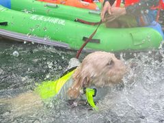 -安吉龙王山峡谷漂流