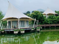 -帐篷客·溪龙茶谷度假酒店