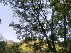 -广州市石门国家森林公园