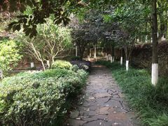 -白马涧龙池景区
