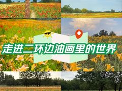 -汉长安城未央宫国家考古遗址公园