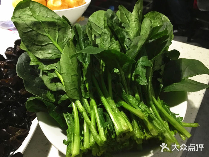 舒來喜魚鍋(東明路店)-菠菜圖片-鄭州美食-大眾點評網